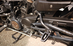 HARLEY  HARLEY RH1250S 2022 ZC4