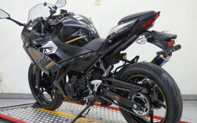 KAWASAKI NINJA 250 EX250P