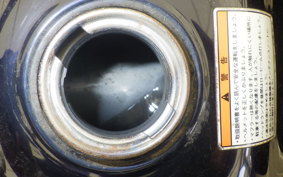 YAMAHA TW225 DG09J