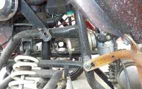 OTHER +UNREGISTERED MODEL by BDS