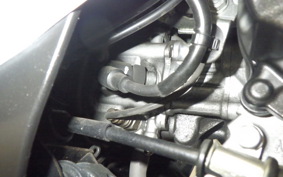 HONDA GIORNO 3 2025 AF77