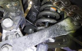 KAWASAKI NINJA 250 EX250L