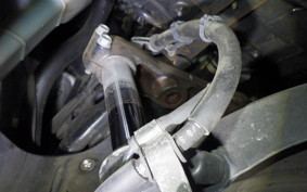 YAMAHA MAXAM 250 2025 SG21J