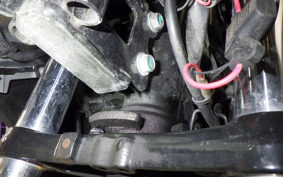 SUZUKI Vｽﾄﾛｰﾑ250A 2015