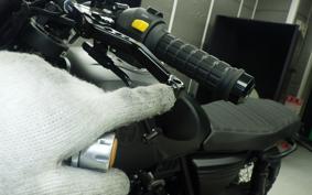 OTHER +MUTT DRK-01 250 1999