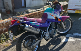 KAWASAKI KLE250 ANHELO LE250A