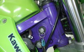 KAWASAKI KDX220SR DX220B