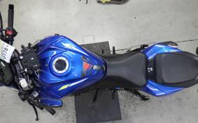 SUZUKI GSX-S750 2019 C533F