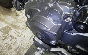 HONDA REBEL 1100 DCT 2024 SC83