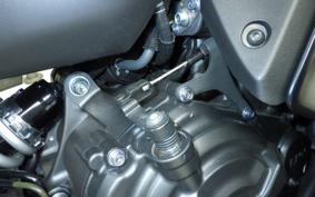 YAMAHA YZF-R7 2022 RM39J