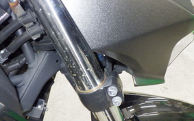 KAWASAKI Z250 Gen.2 2021 EX250P