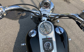 HARLEY FLSTC 2000 BJY