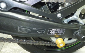 KAWASAKI ZX-4RR 2023 ZX400P