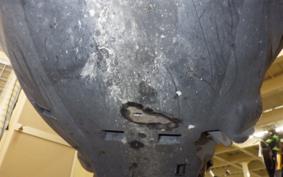 YAMAHA JOG 2020 SA55J