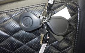 HARLEY XL1200NS 2019