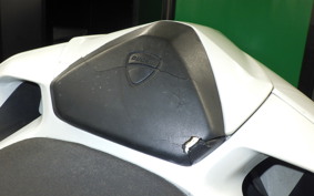 DUCATI 1199 PANIGALE S 2013