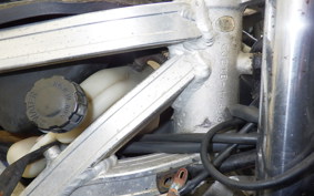 SUZUKI RG250 Gamma GJ21B