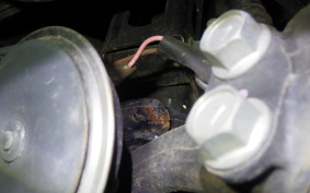 YAMAHA N-MAX 155 A 2021 SG50J