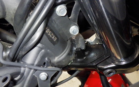 KAWASAKI NINJA 250 SL