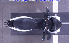 OTHER TORI CITY 155A