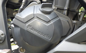 KAWASAKI Z250 ER250C