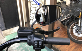 HARLEY FLSS 2016 JS9