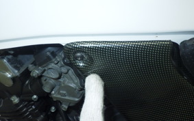 HONDA HORNET 250 2013 MC31