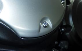 YAMAHA SCR950 A 2025 VN09J