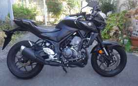 YAMAHA MT-25 ABS RG95J