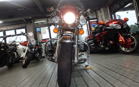 HARLEY FLSTC 2012 BW5