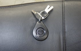 HARLEY FLSB 1750 2025