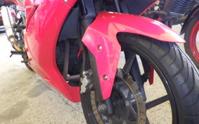 KAWASAKI NINJA 250R EX250K