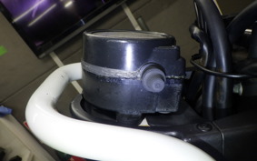 HONDA PS250 2023 MF09