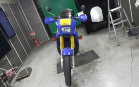 YAMAHA TDR250 2002 2YK