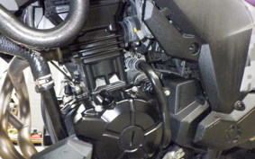 KAWASAKI VERSYS X250 A LE250D