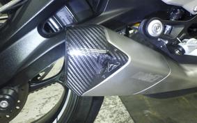 TRIUMPH STREET TRIPLE RS