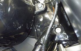 HARLEY FLFB 1750 2019