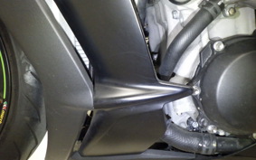 KAWASAKI ZX 10 NINJA RR 2017