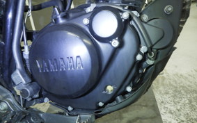 YAMAHA TW225 2007 DG09J