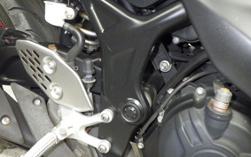 YAMAHA YZF-R25 2009 RG10J