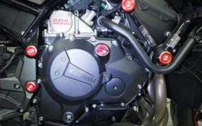 KAWASAKI ZH2 2024 ZRT00R