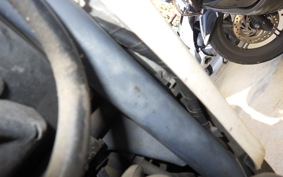 HONDA DIO ZX GEN 2 AF35