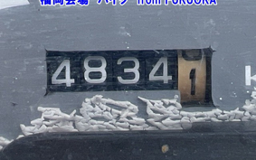 HONDA MANY CTOR
