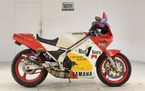 YAMAHA TZR250 2010 1KT