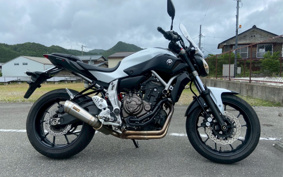 YAMAHA MT-07 2016 RM07J