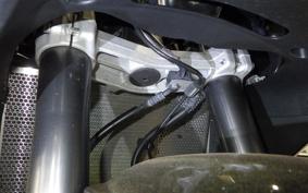 KAWASAKI NINJA 1000 2019 ZXT00W