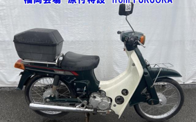SUZUKI BIRDIE50