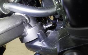 KAWASAKI ELIMINATOR400-3 2024 EL400A