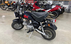 HONDA MONKEY Z50J