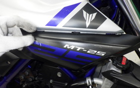 YAMAHA MT-25 2006 RG10J